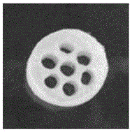 Hierarchical porous chitosan/polylactic acid composite material and preparation method and application thereof