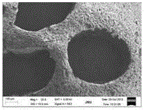 Hierarchical porous chitosan/polylactic acid composite material and preparation method and application thereof