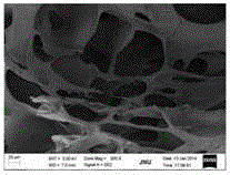 Hierarchical porous chitosan/polylactic acid composite material and preparation method and application thereof