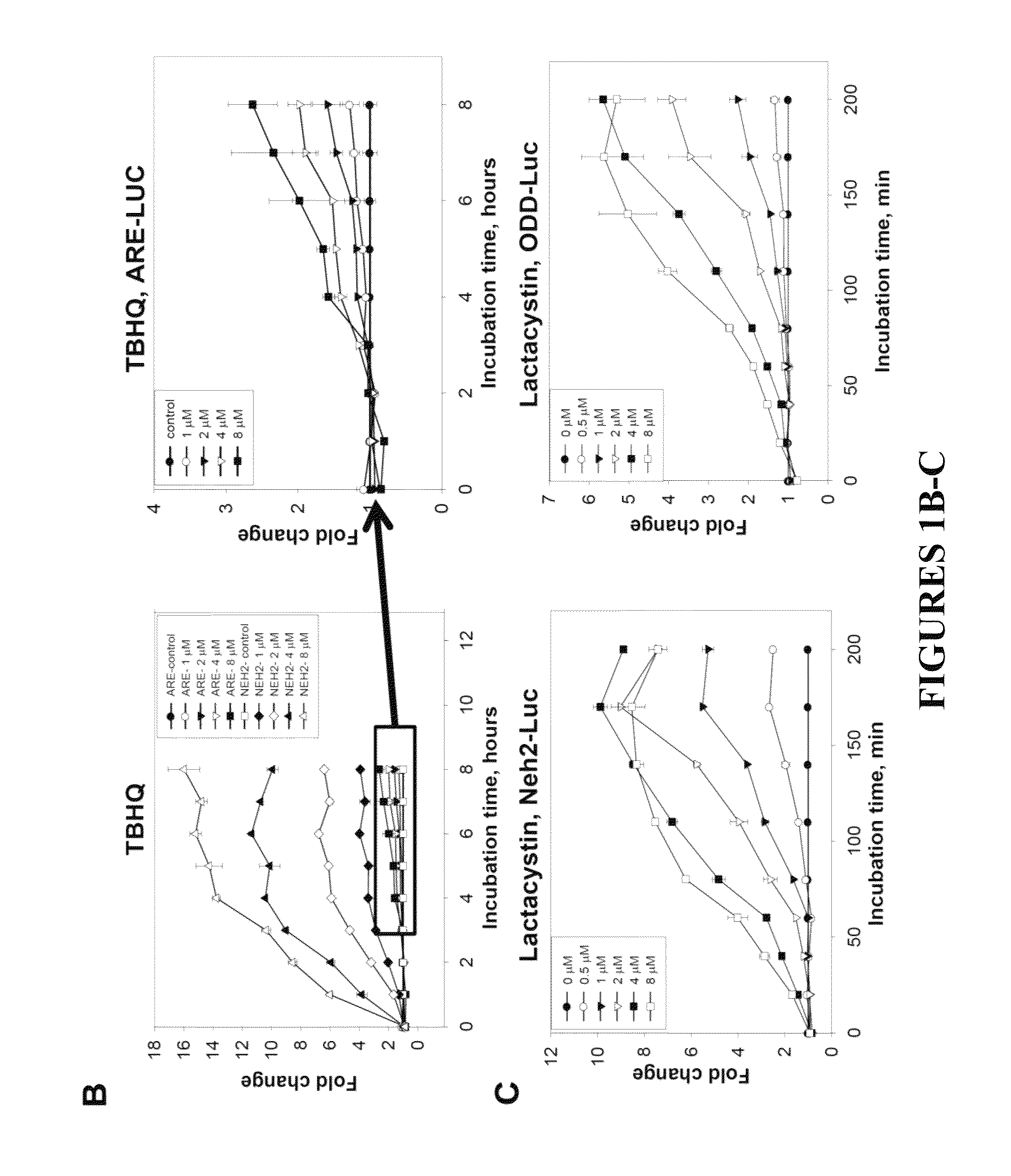 Reporter system for high throughput screening of compounds and uses thereof