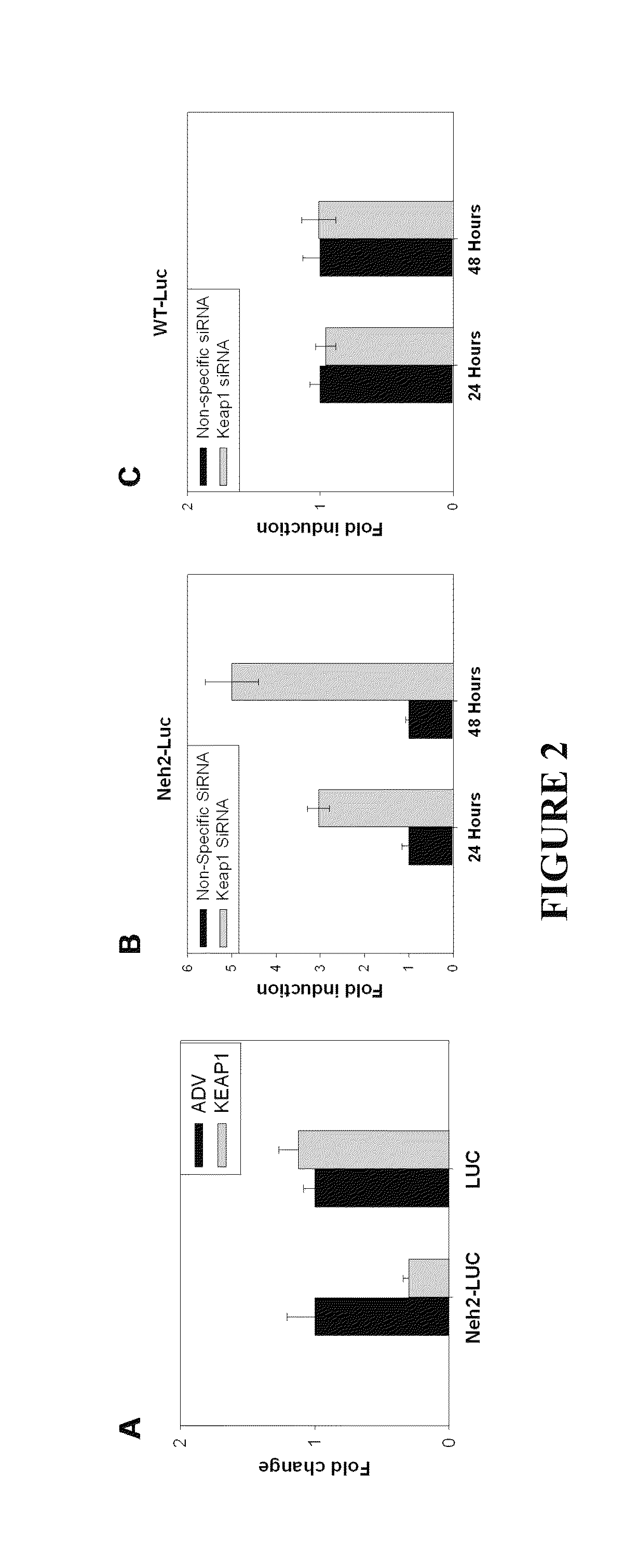 Reporter system for high throughput screening of compounds and uses thereof