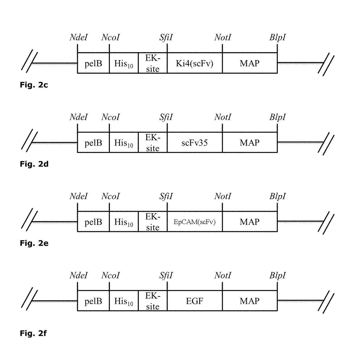 Microtubule-modifying compound