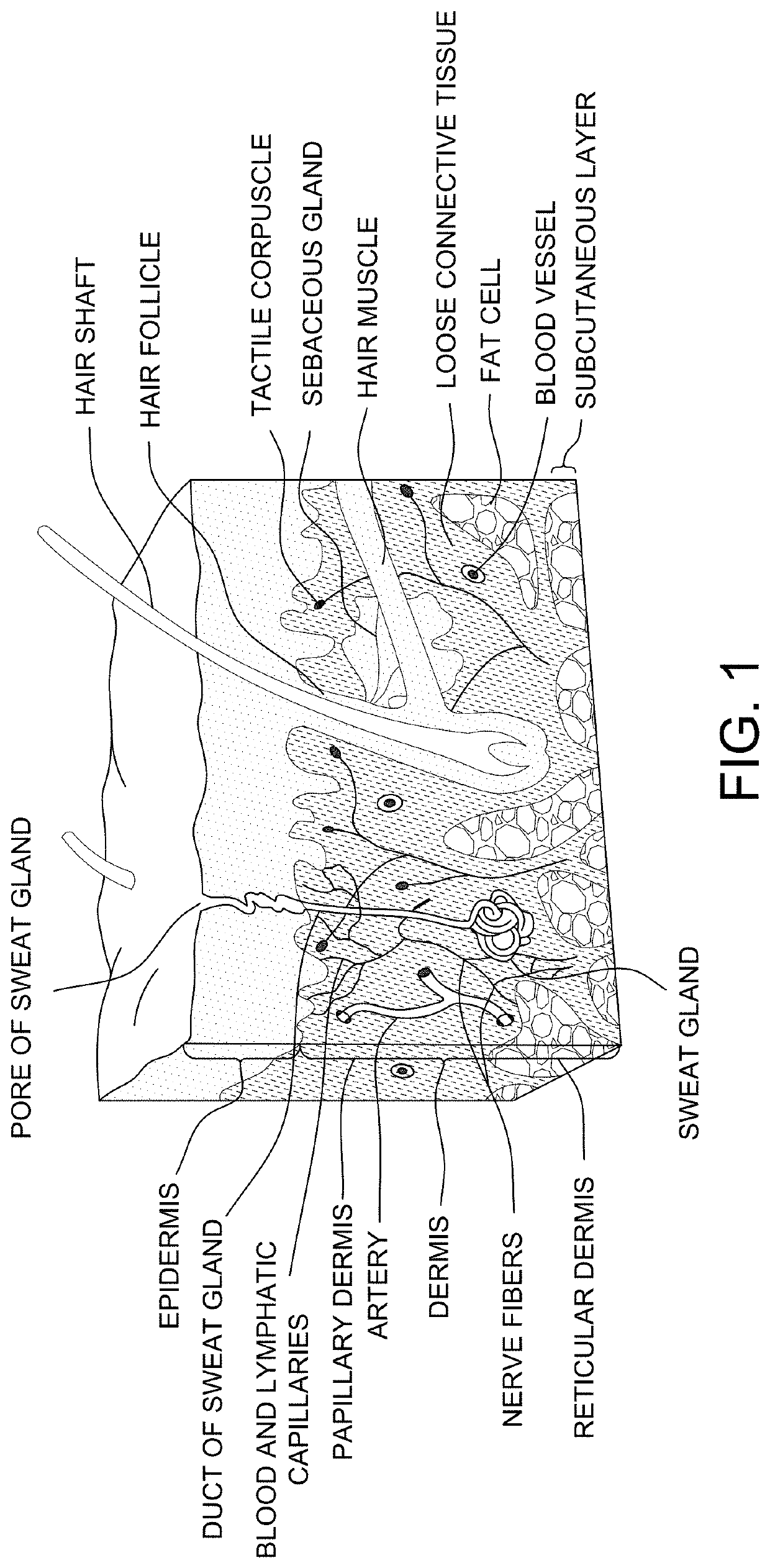 Methods for lymphatic delivery of active agents