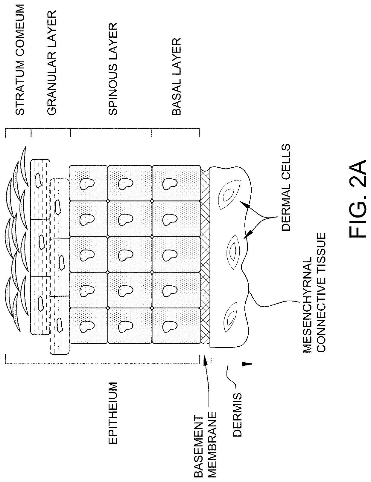 Methods for lymphatic delivery of active agents