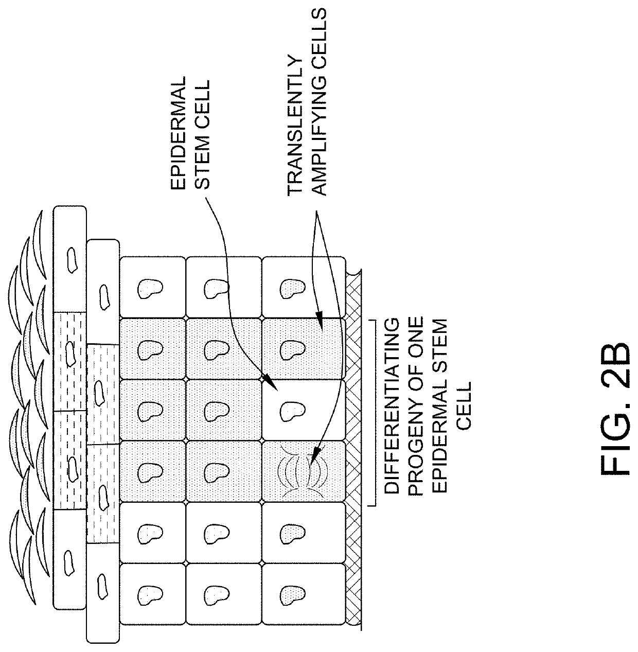 Methods for lymphatic delivery of active agents