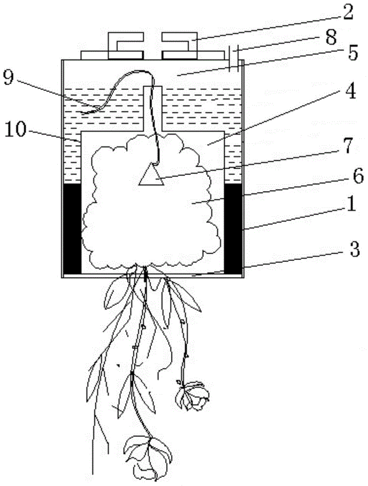 An upside-down three-dimensional greening plant cultivation system