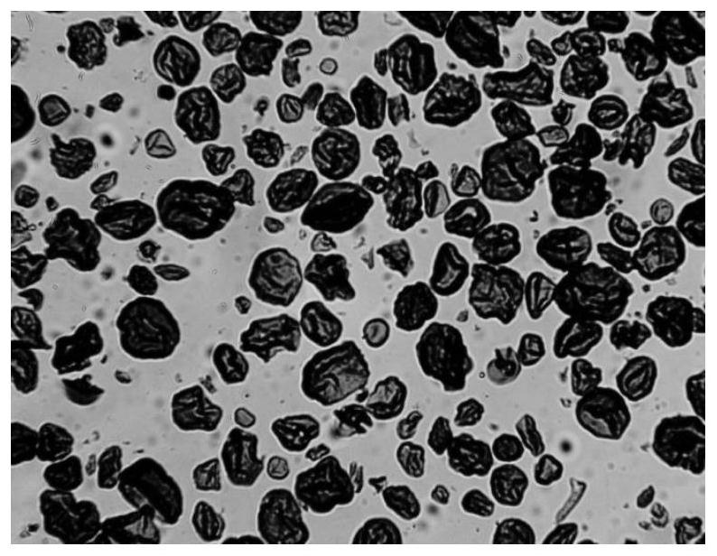 Preparation method of oxidized starch