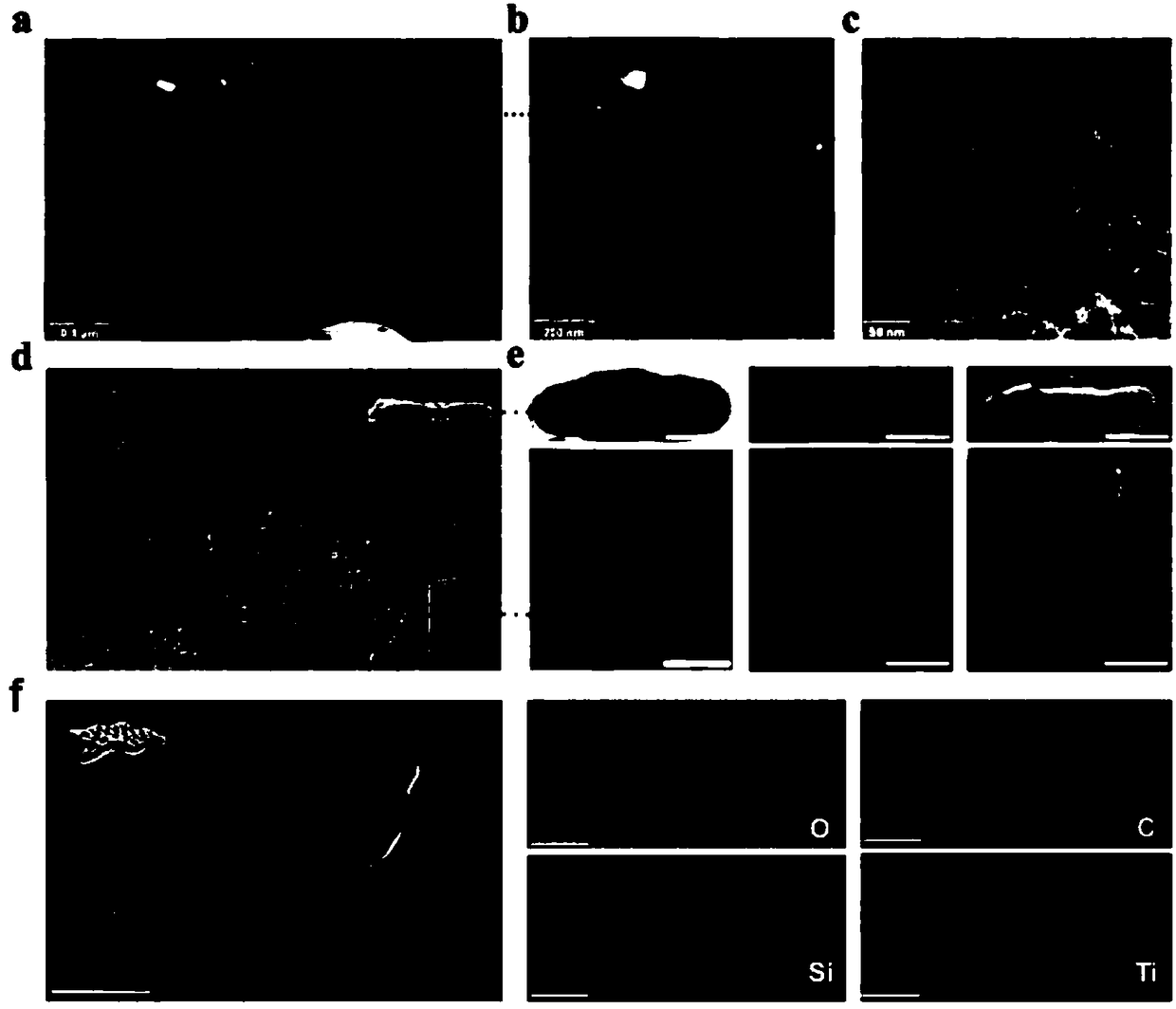 Tumor targeted therapy sustained release preparation and preparation method thereof