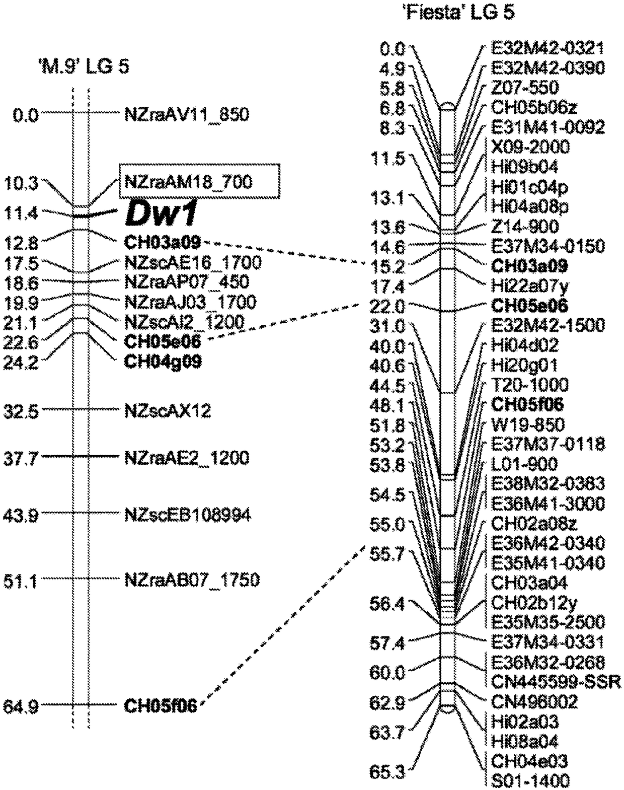 Compositions and methods for manipulating the development of plants