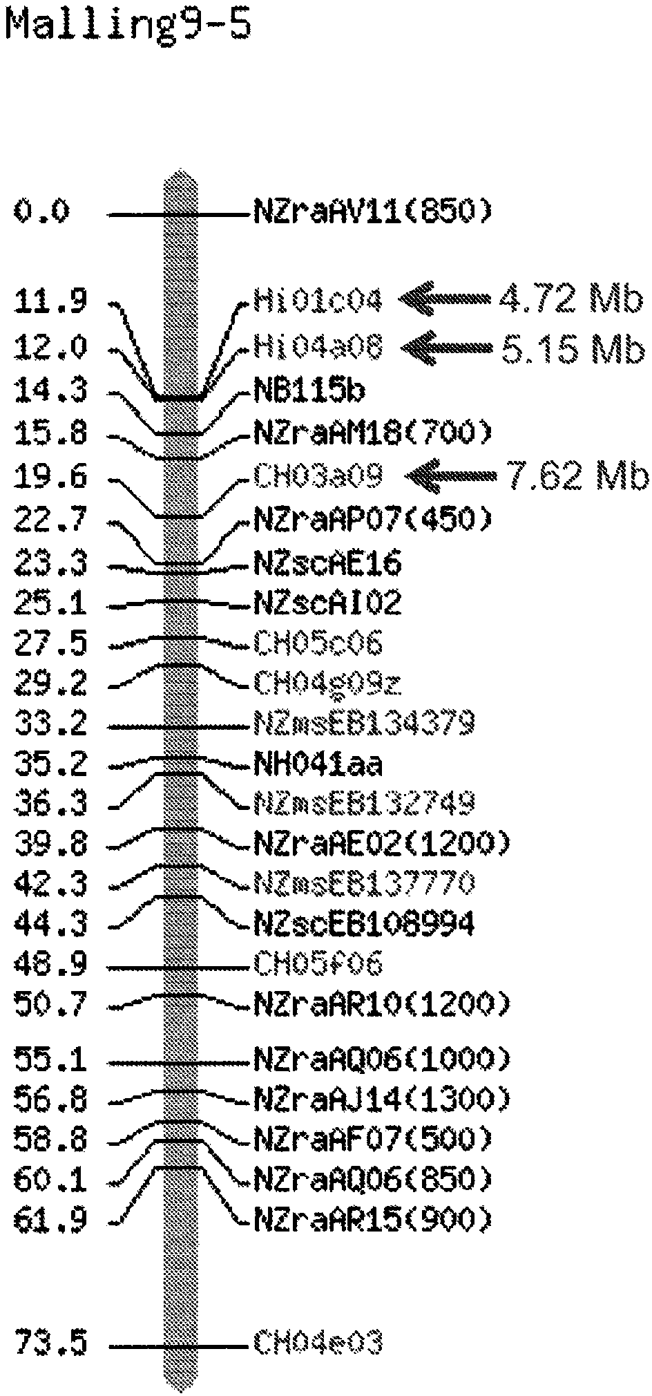 Compositions and methods for manipulating the development of plants