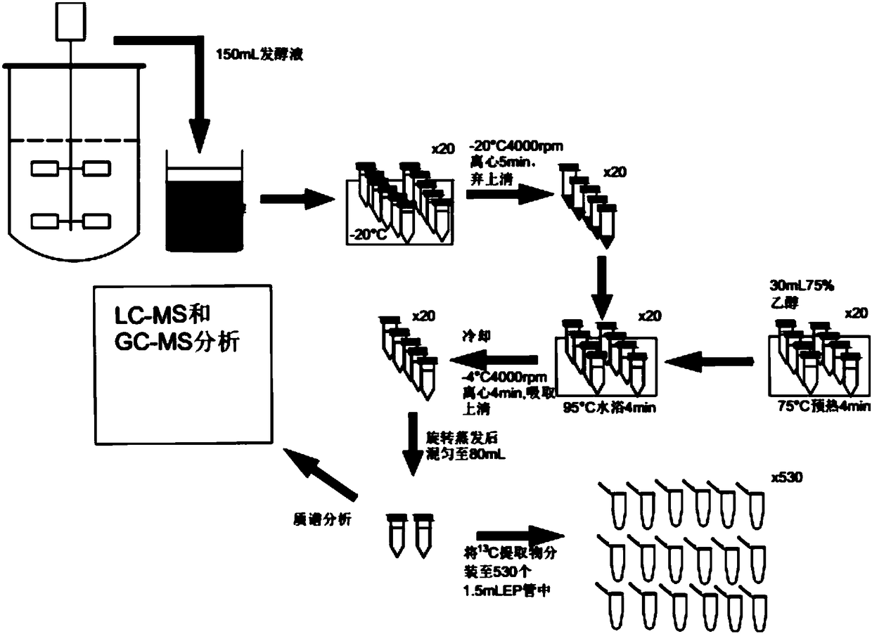 Method for increasing amount of metabolites in fermentation cells and preparing IDMS standard