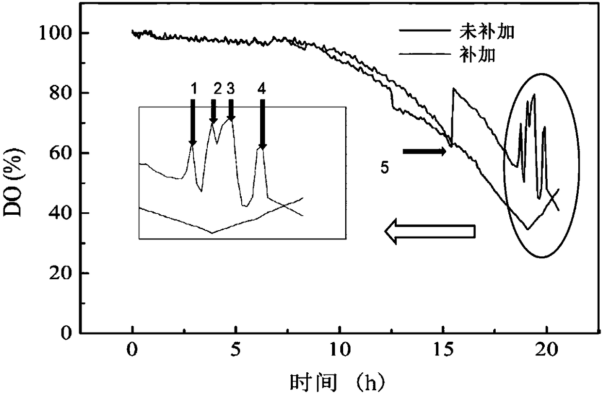 Method for increasing amount of metabolites in fermentation cells and preparing IDMS standard