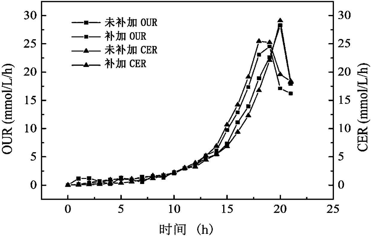 Method for increasing amount of metabolites in fermentation cells and preparing IDMS standard