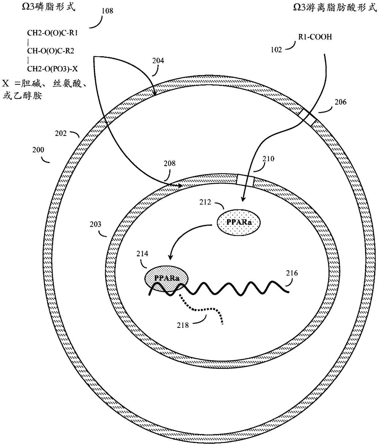 Omega-3 fatty acid nutraceutical composition and optimization method