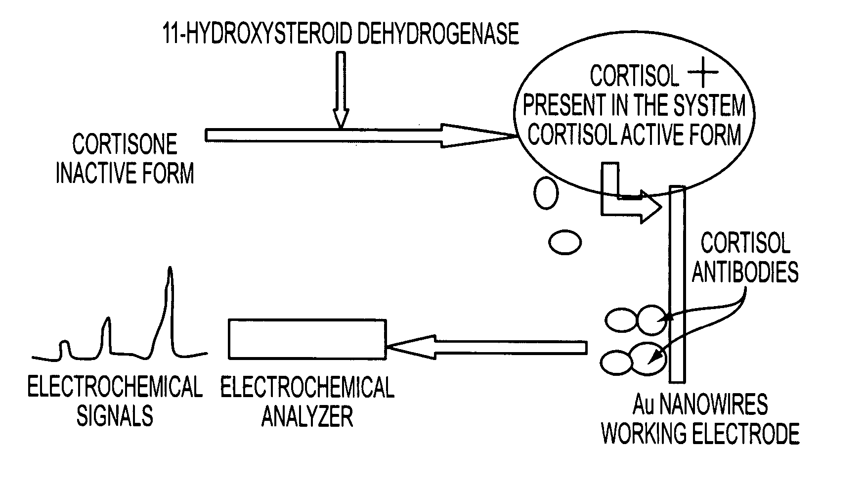 Nano-Based Device for Detection of Disease Biomarkers and Other Target Molecules