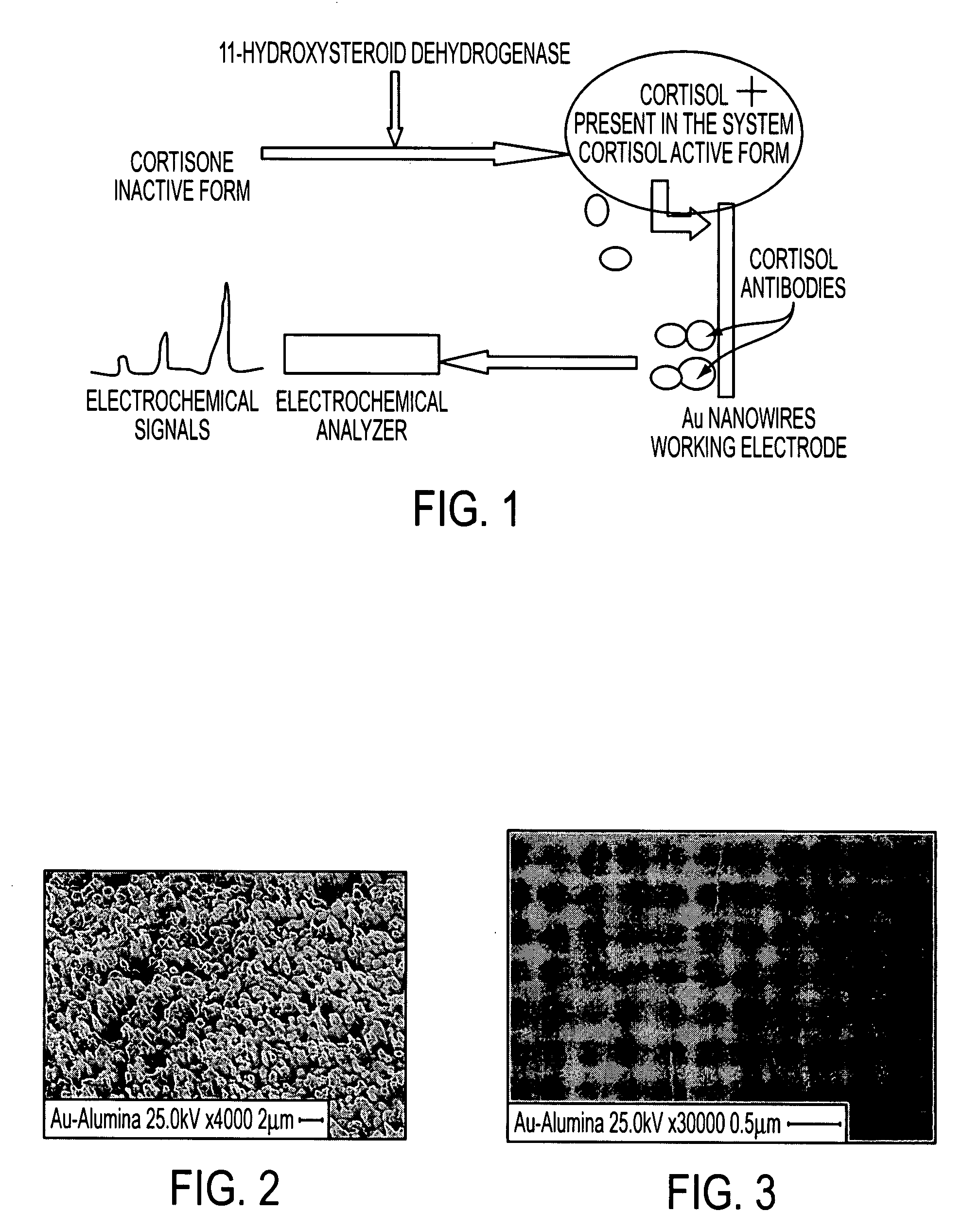 Nano-Based Device for Detection of Disease Biomarkers and Other Target Molecules