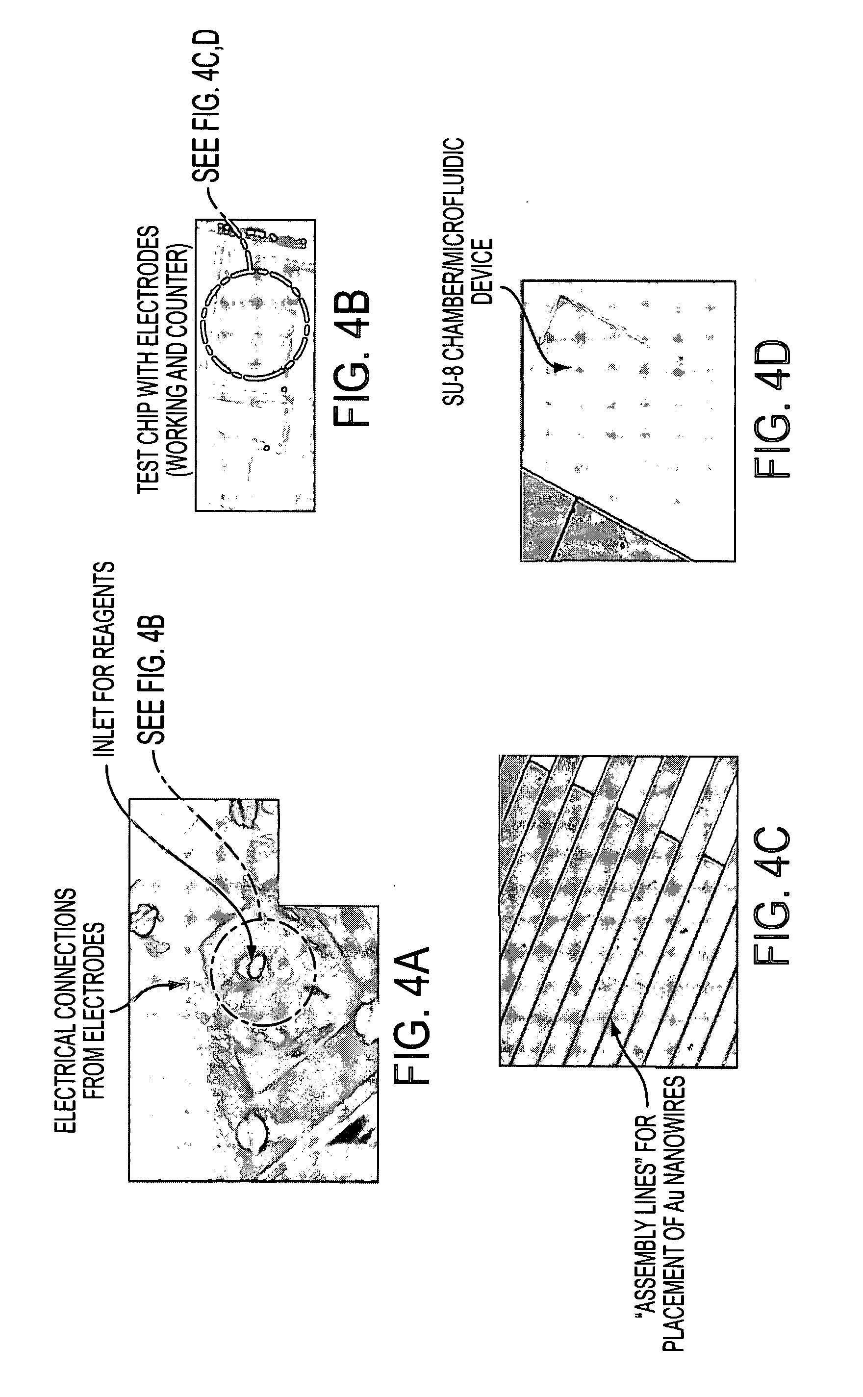 Nano-Based Device for Detection of Disease Biomarkers and Other Target Molecules