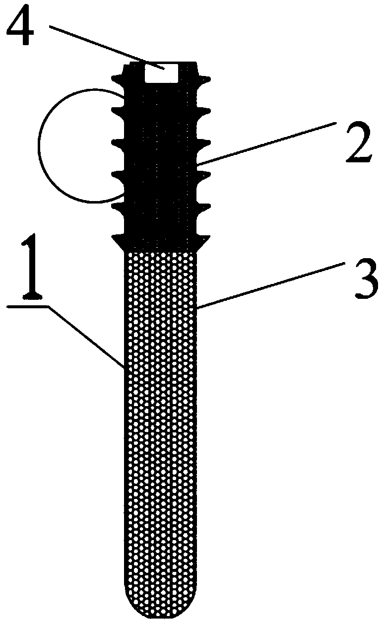 3D printing tantalum rod