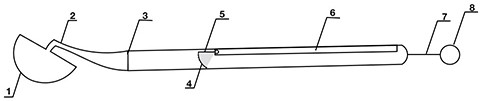 Oral cavity examination ruler for edentulous jaw