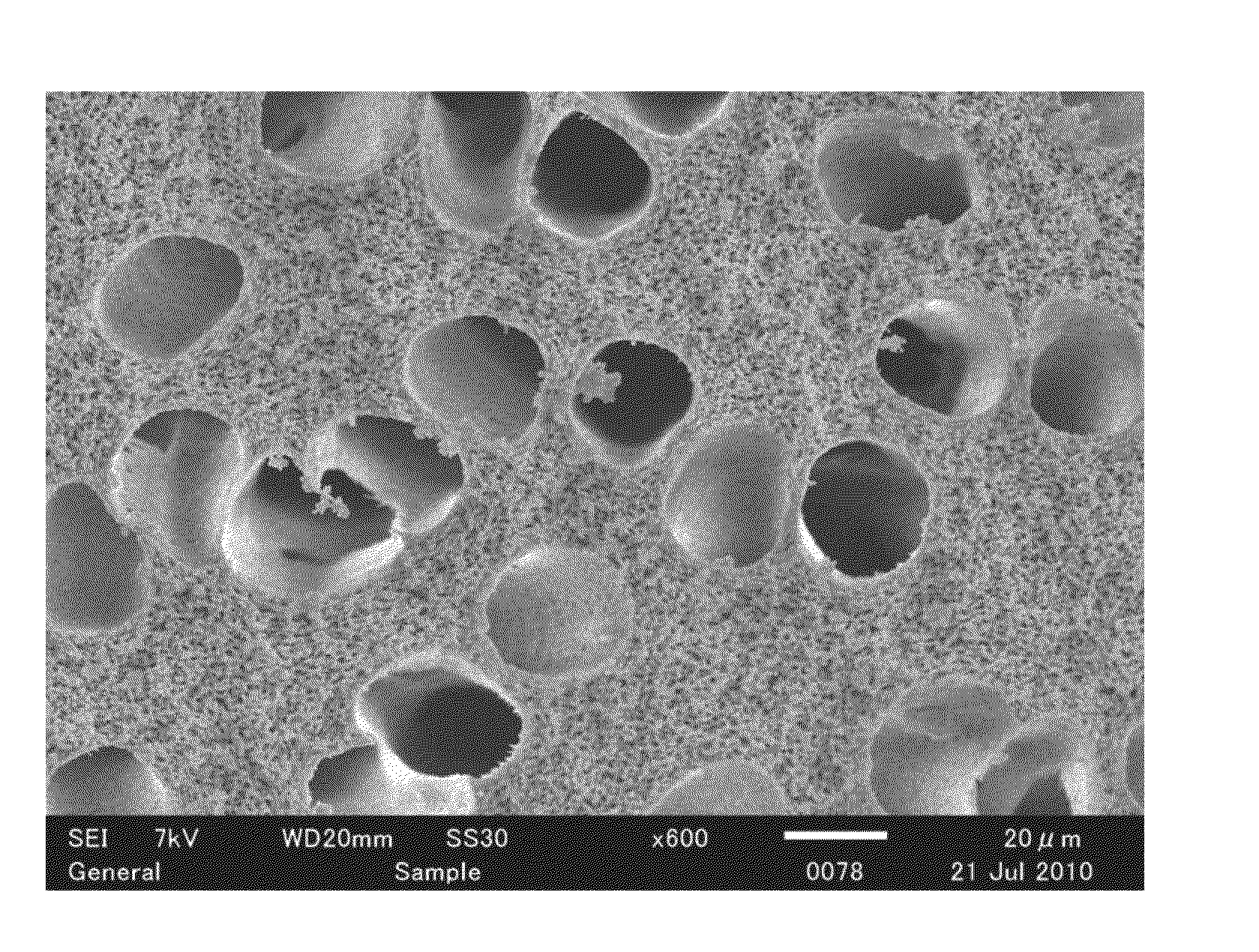 Method for Producing Porous Monolith