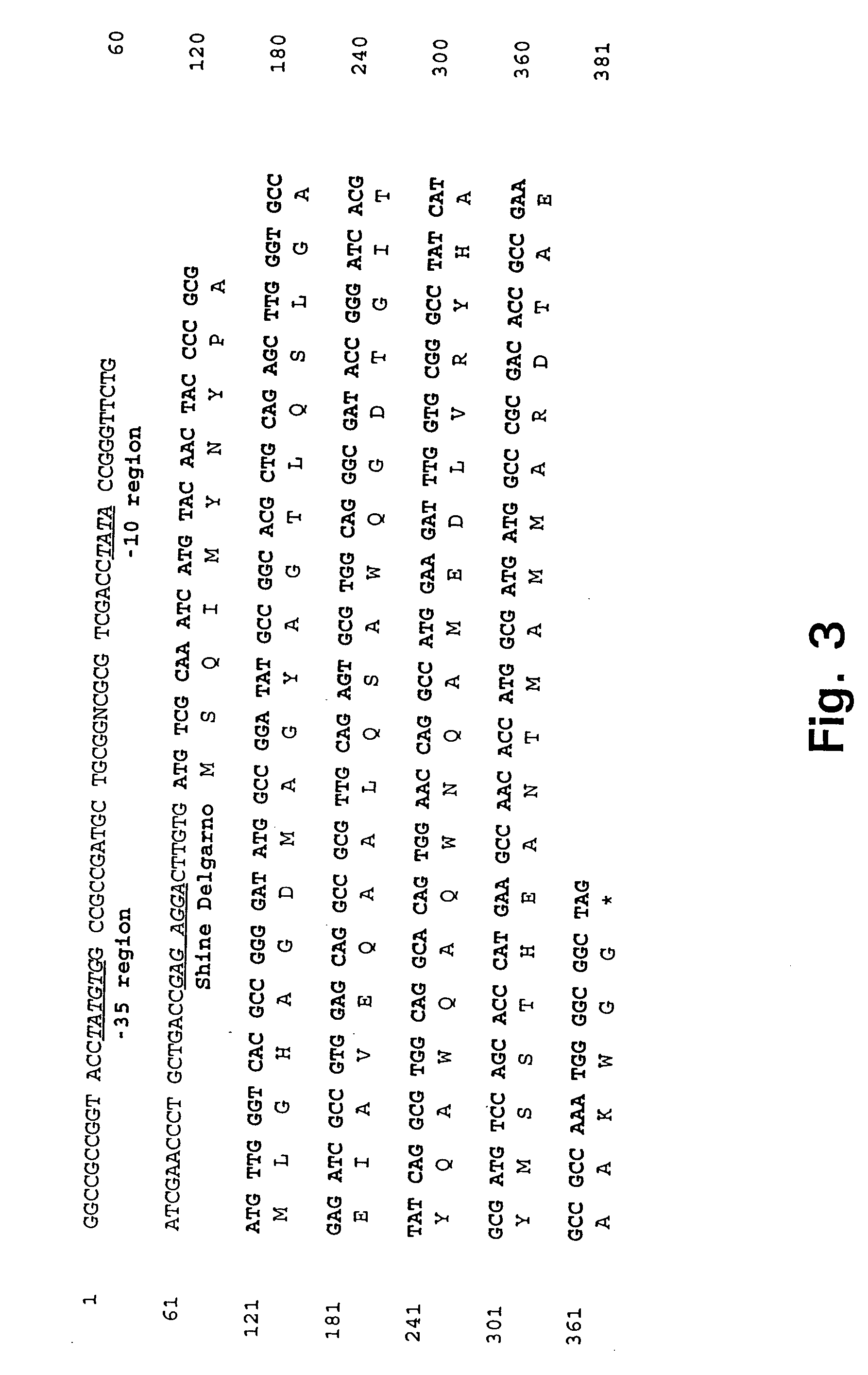 TB diagnostic based on antigens from M. tuberculosis