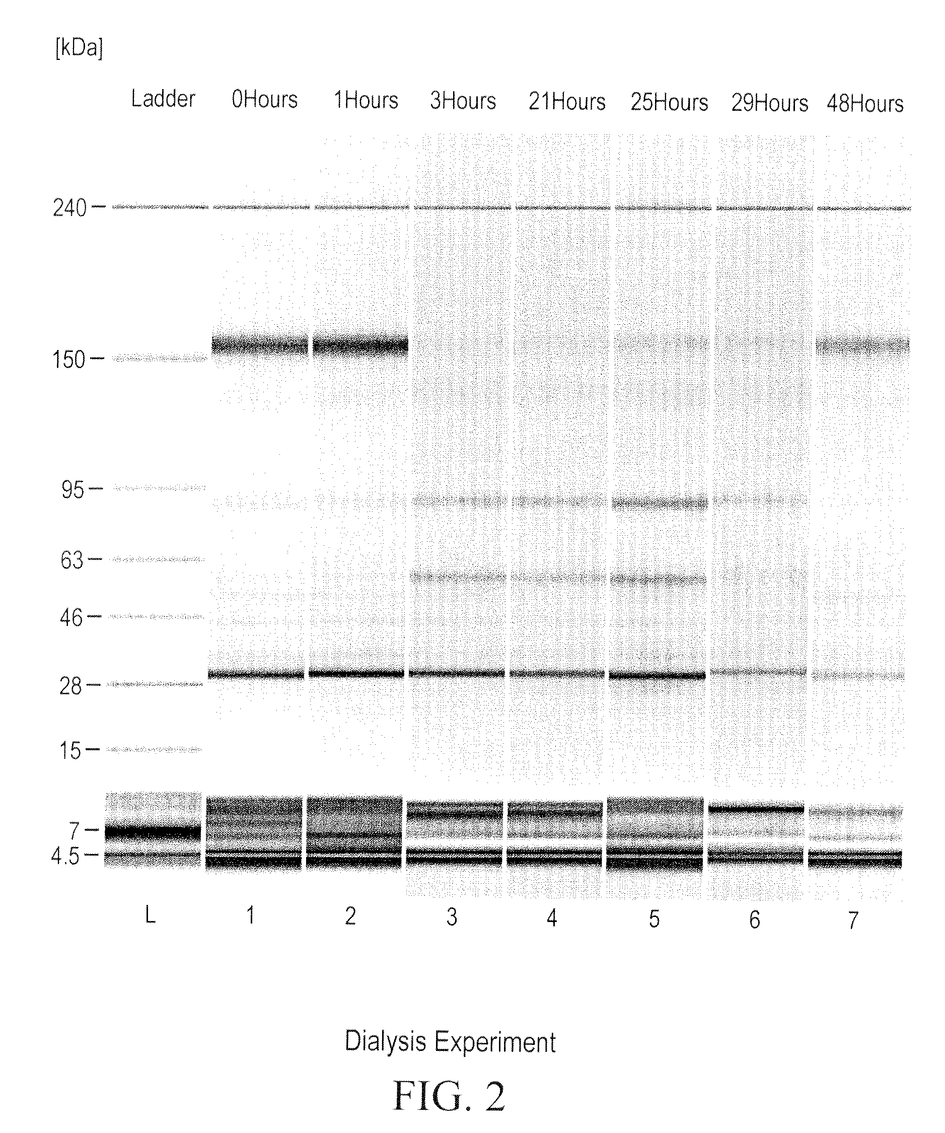 Prevention of disulfide bond reduction during recombinant production of polypeptides