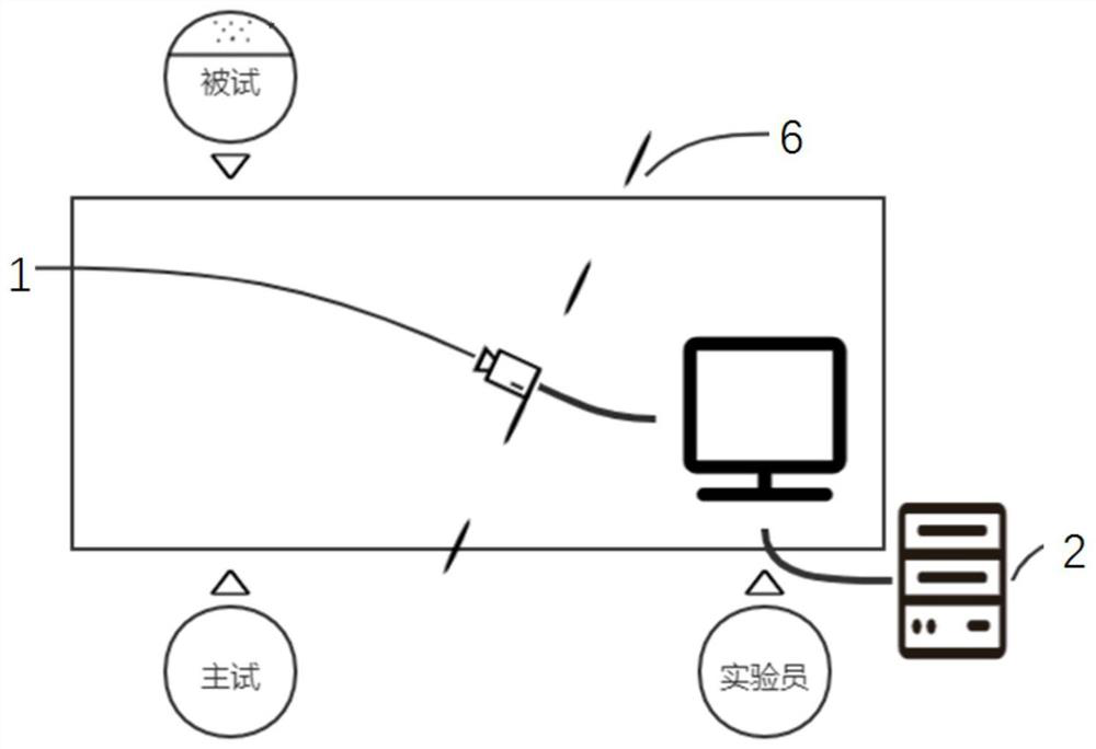 Detection method for cognitive function of patient with schizophrenia