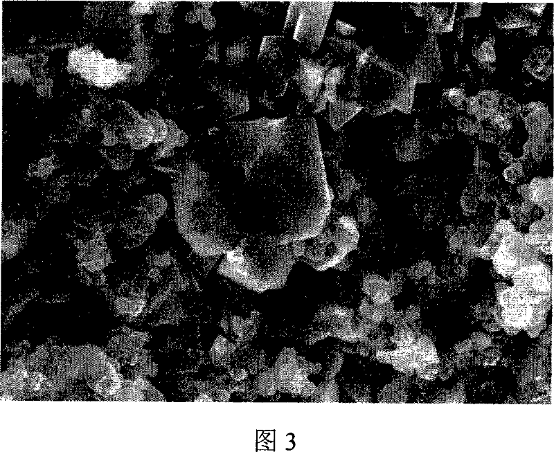 Process for preparing Lithium ionic cell electrode slurry using ultrasonic-mechanical raking combination method