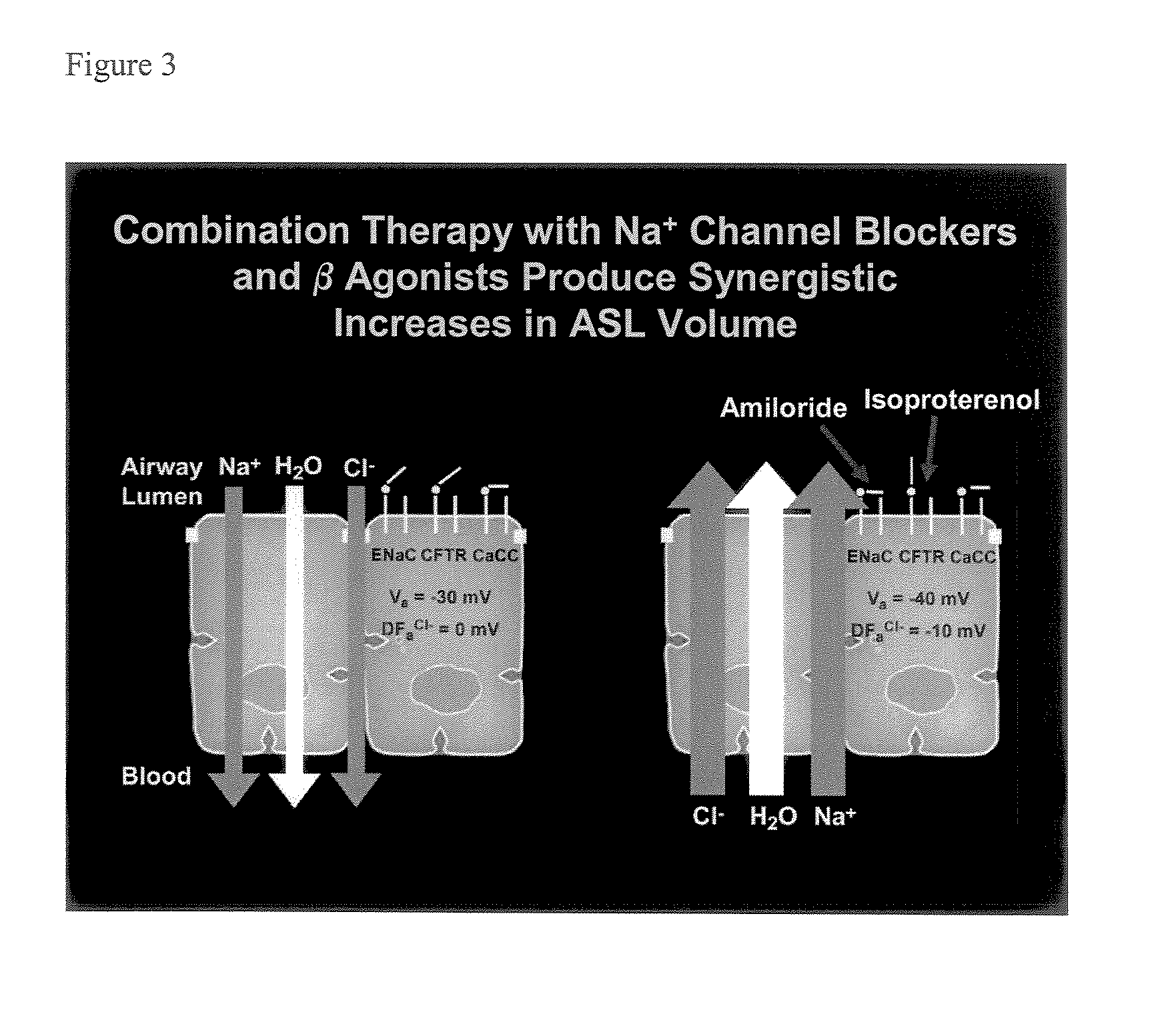 Phenyl substituted pyrazinoylguanidine sodium channel blockers possessing beta agonist activity