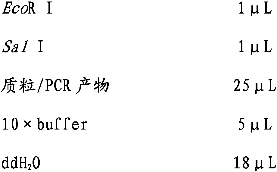 Tomato ubiquitin ligase gene and application thereof