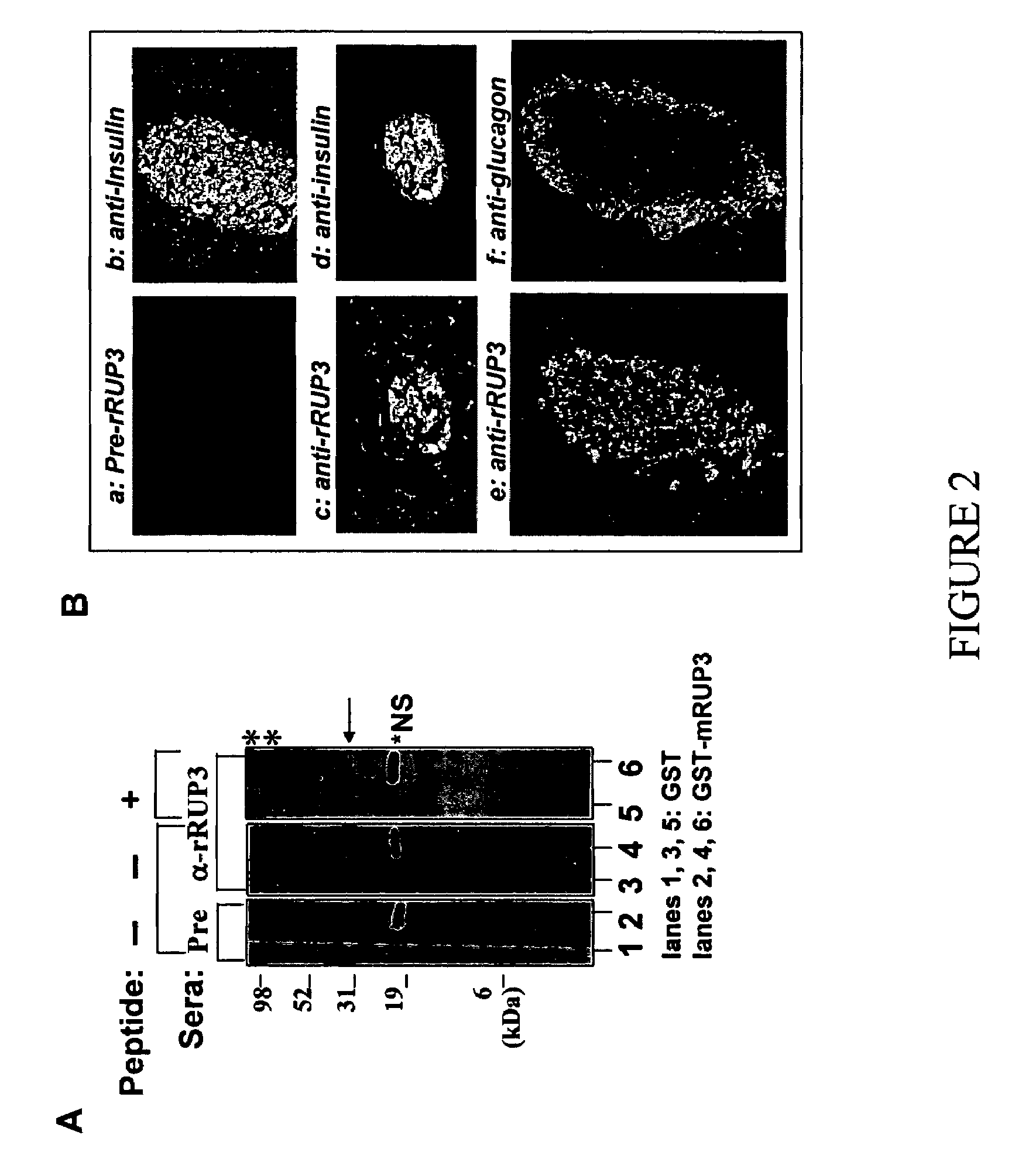 Trisubstituted aryl and heteroaryl derivatives as modulators of metabolism and the prophylaxis and treatment of disorders related thereto