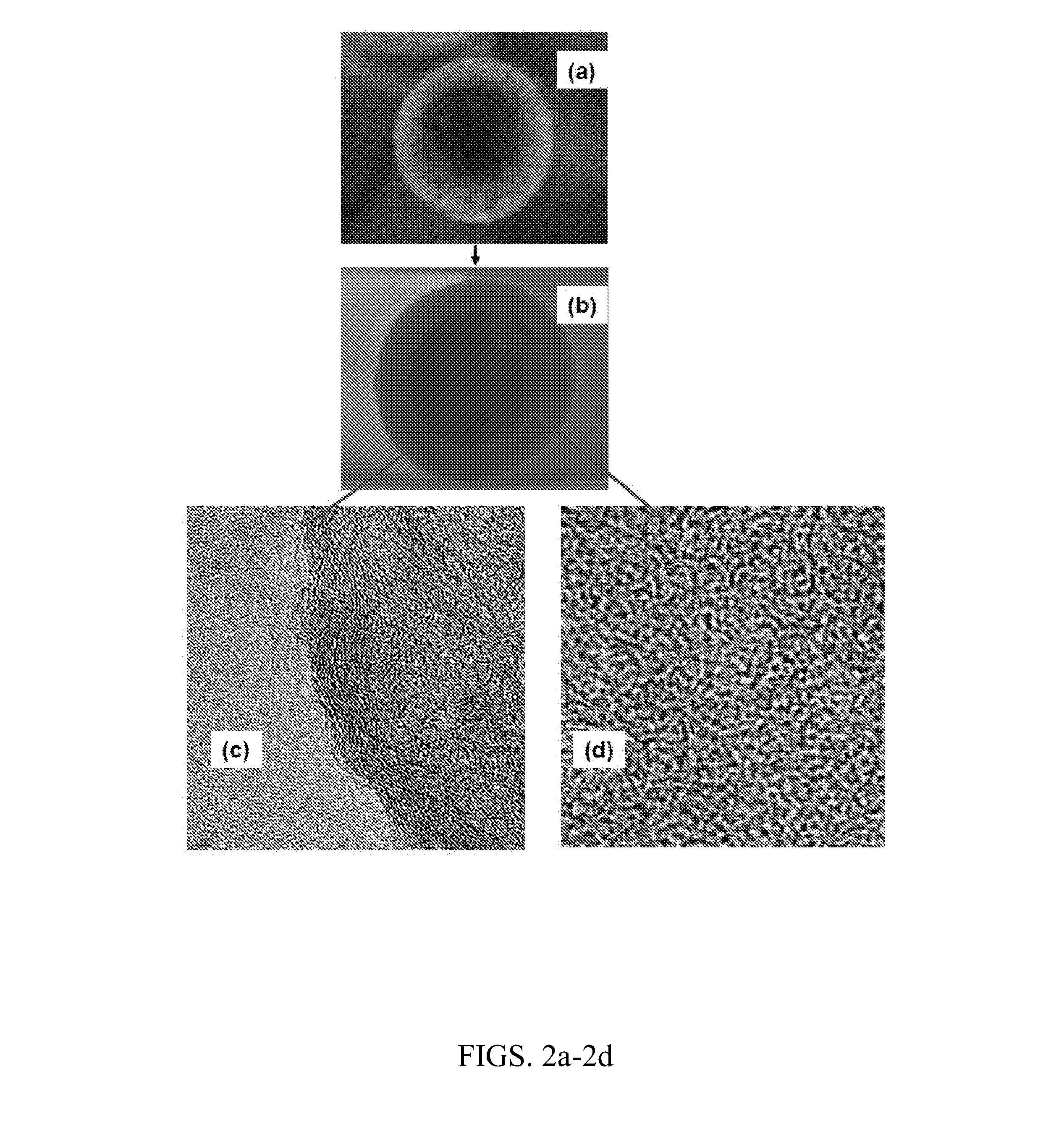 Method for the preparation of carbon fiber from polyolefin fiber precursor, and carbon fibers made thereby