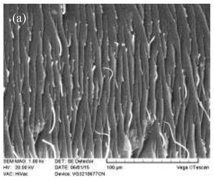 A preparation device for channel-type organic conductive coating