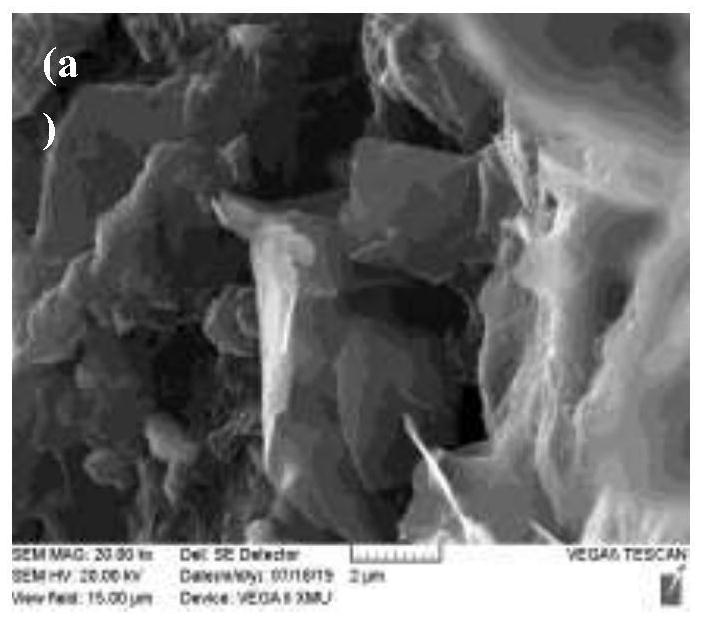 A preparation device for channel-type organic conductive coating