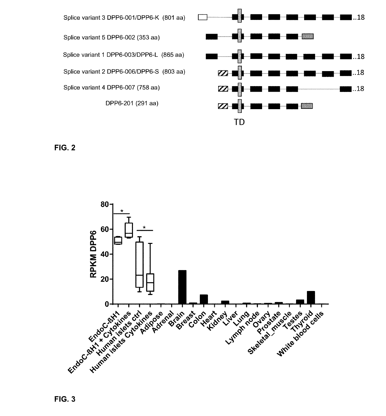 A new biomarker expressed in pancreatic beta cells useful in imaging or targeting beta cells