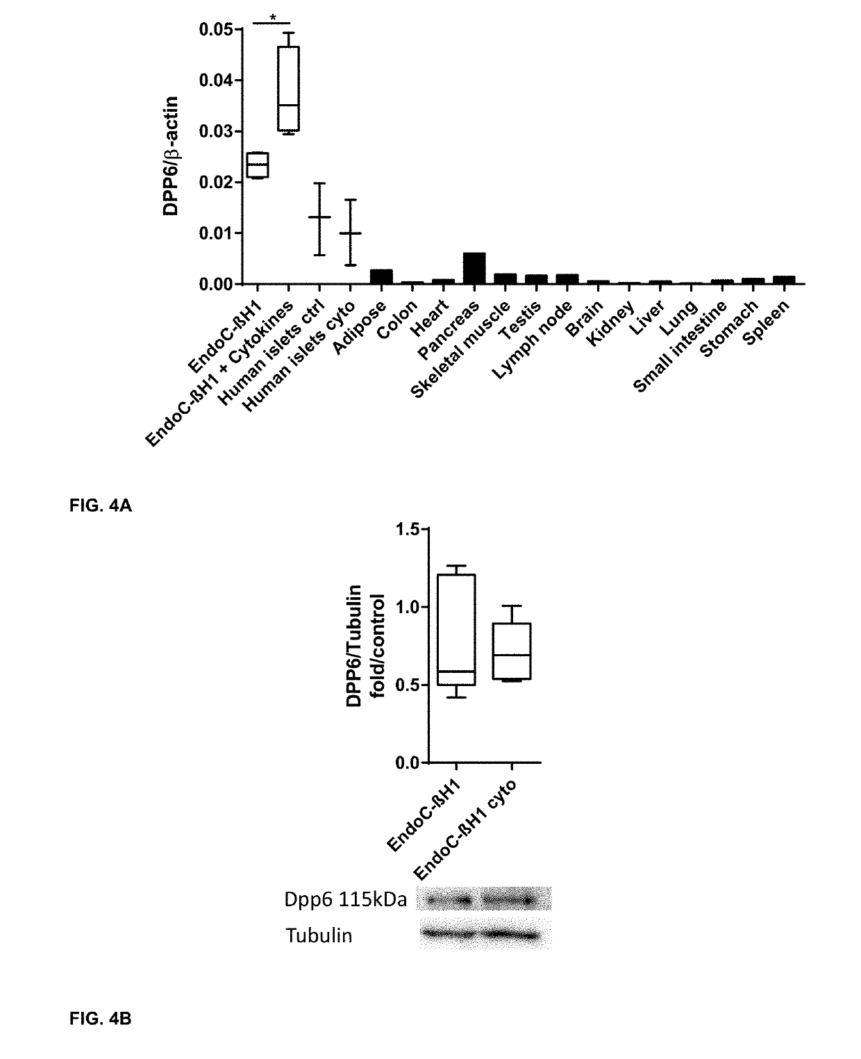 A new biomarker expressed in pancreatic beta cells useful in imaging or targeting beta cells