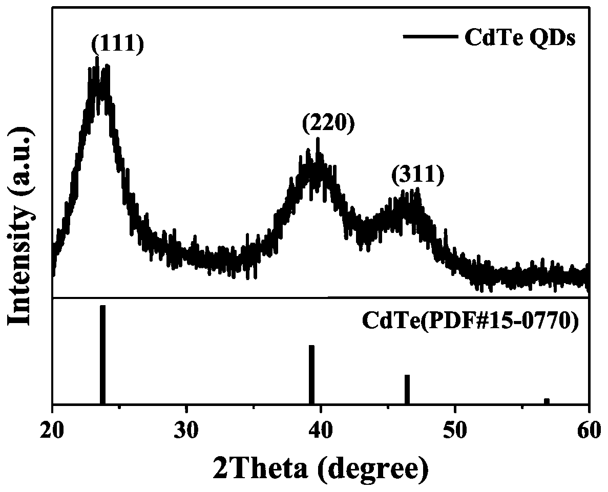 Method for improving fluorescence quantum yield of II-VI family quantum dots