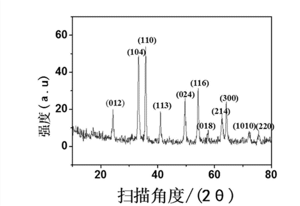 Preparation method of spatial network-like Fe2O3 composite material electrode