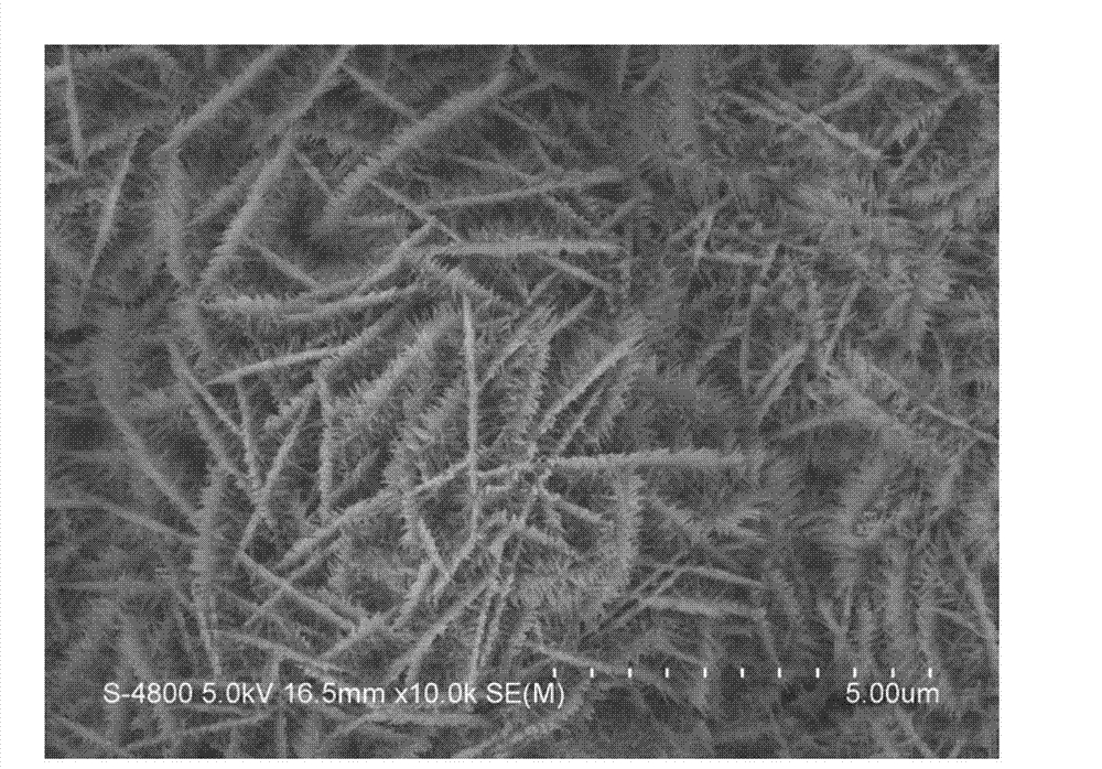 Preparation method of spatial network-like Fe2O3 composite material electrode