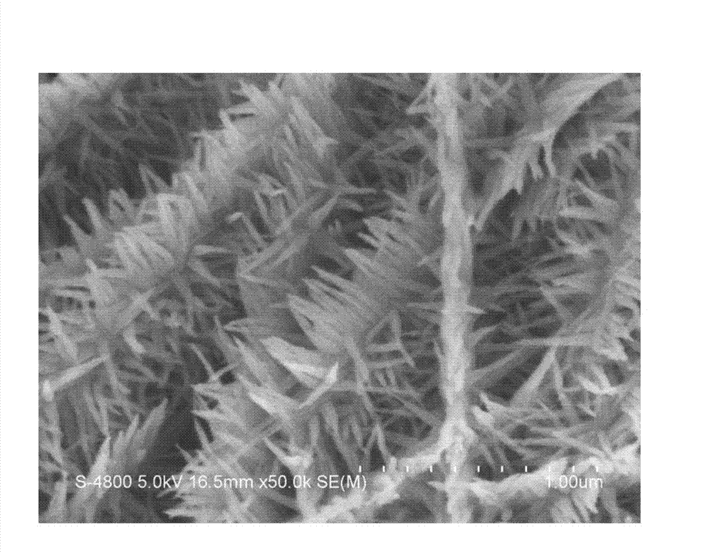 Preparation method of spatial network-like Fe2O3 composite material electrode