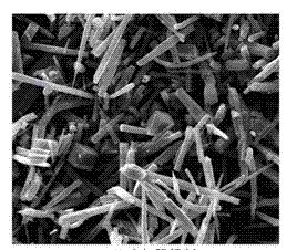 Preparation and application methods of modified polyepoxysuccinic acid scale and corrosion inhibitor