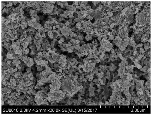 Method for removing tetracycline in wastewater by magnetic magnesium hydroxide adsorbent