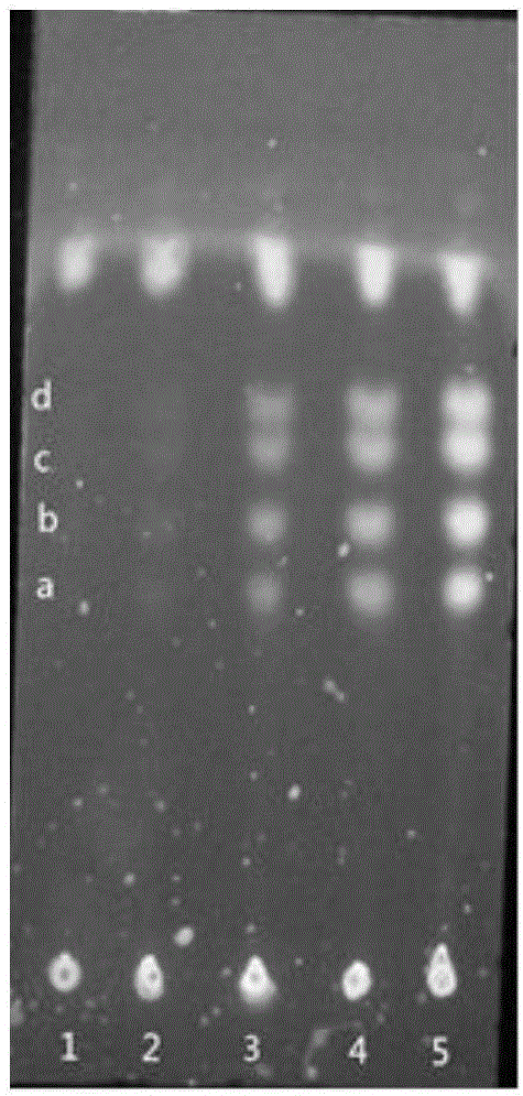 Method for detecting residuals of sulfanilamide medicaments by portable imaging method and applications thereof