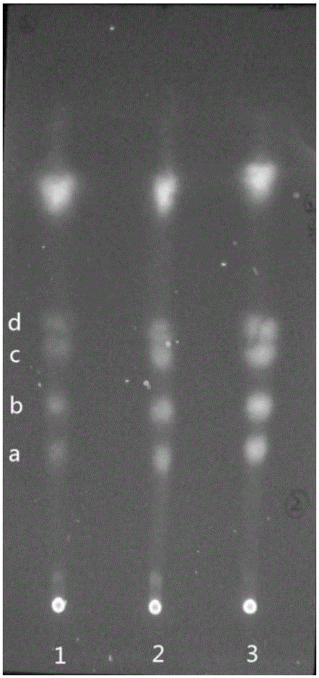 Method for detecting residuals of sulfanilamide medicaments by portable imaging method and applications thereof