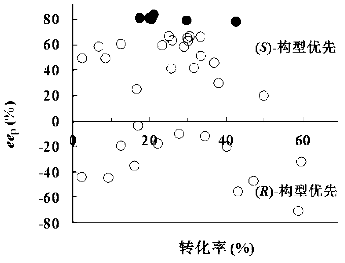 Rhodococcus and application thereof in preparation of (S)-(+)-2,2-dimethylcyclopropane carboxylic acid