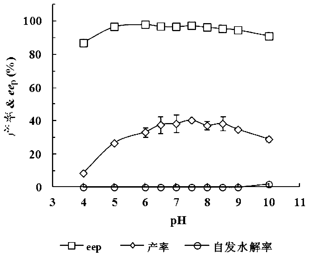 Rhodococcus and application thereof in preparation of (S)-(+)-2,2-dimethylcyclopropane carboxylic acid