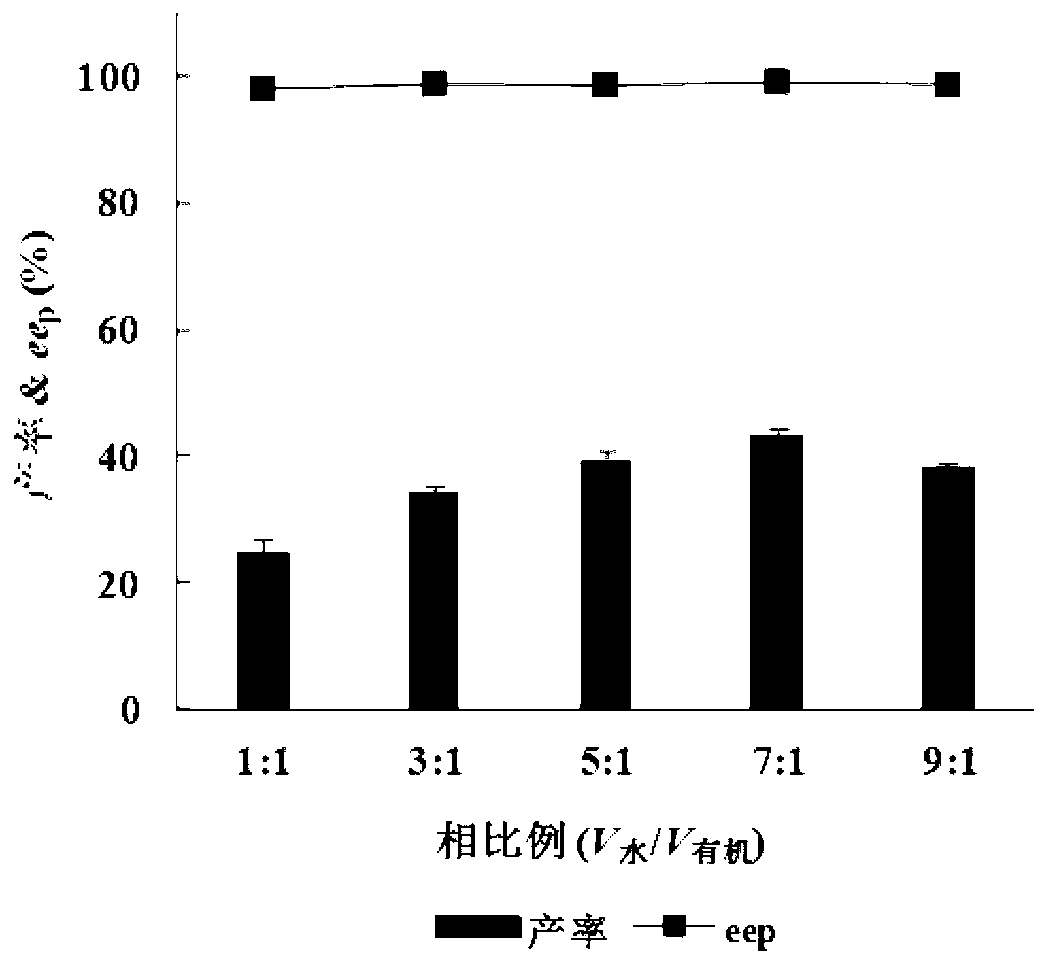 Rhodococcus and application thereof in preparation of (S)-(+)-2,2-dimethylcyclopropane carboxylic acid