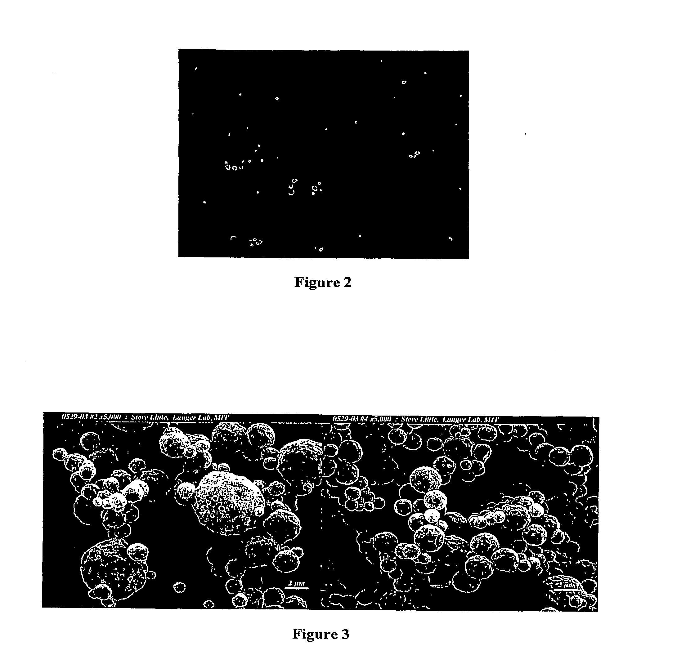 High-throughput fabrication of microparticles