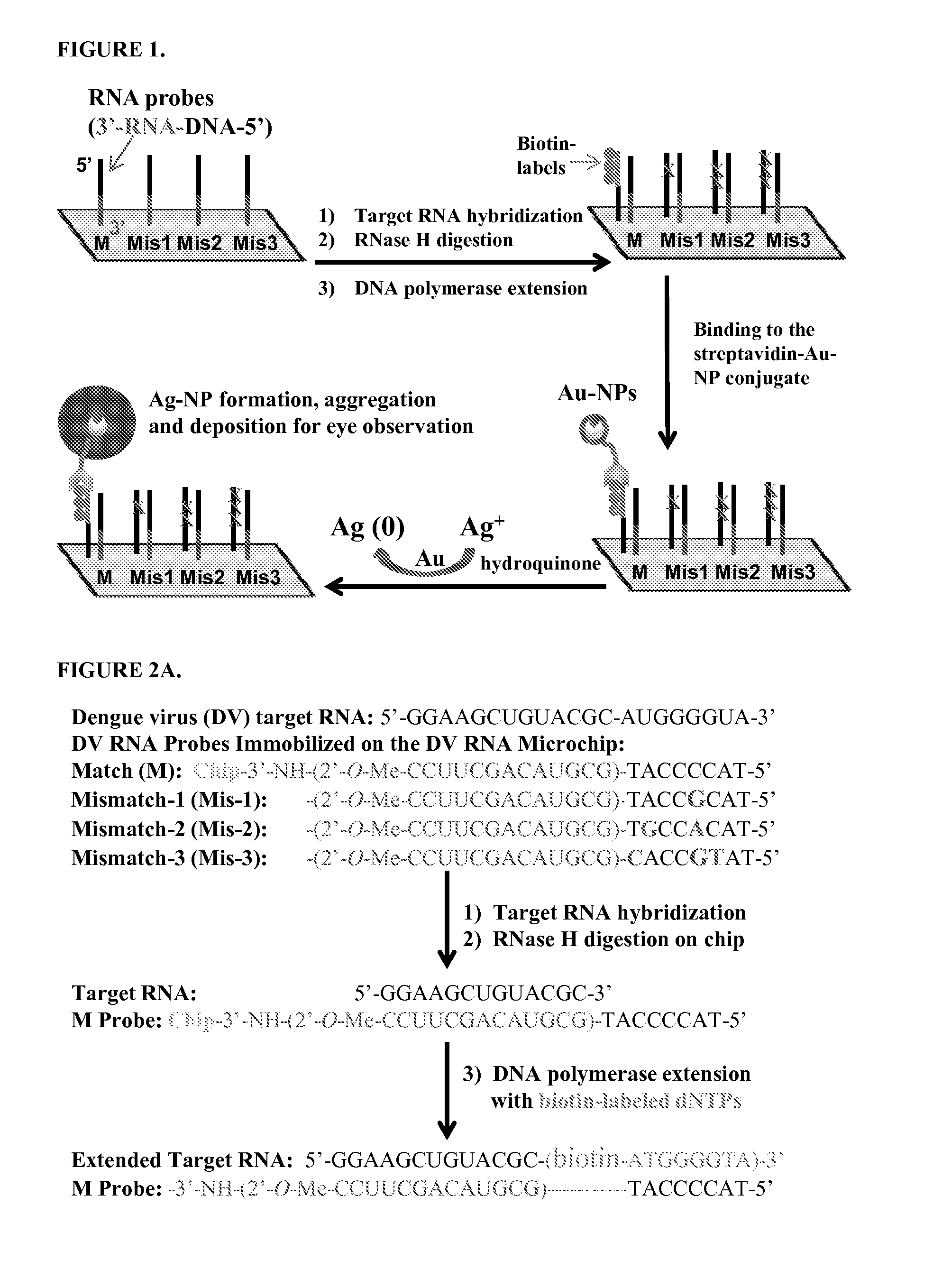 RNA Microchip Detection Using Nanoparticle-Assisted Signal Amplification