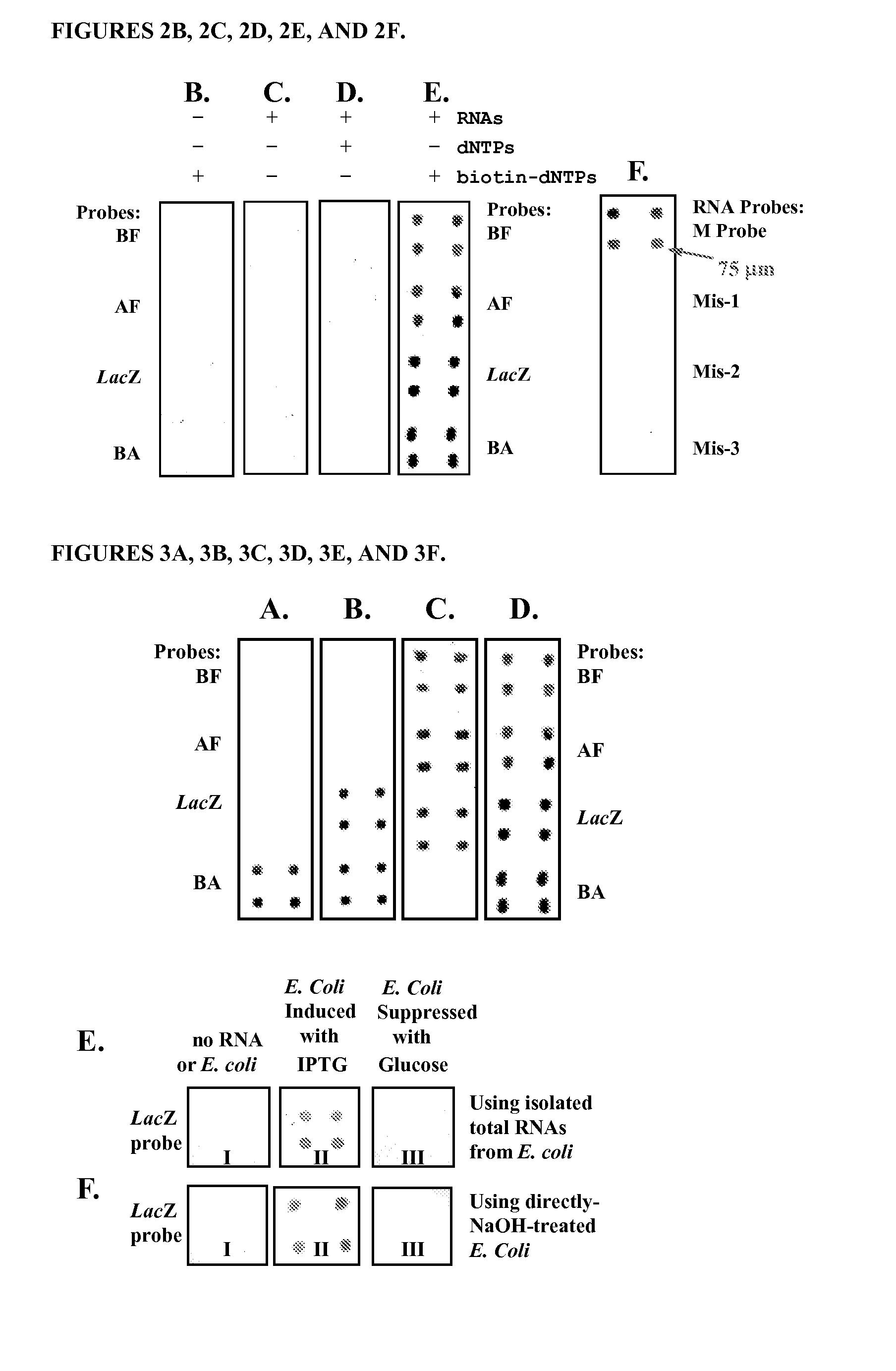 RNA Microchip Detection Using Nanoparticle-Assisted Signal Amplification